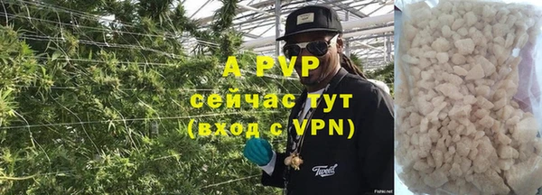мяу мяу мука Абаза