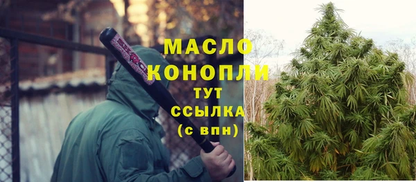 таблы Гусев